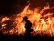 Справочная информация  об обстановке с техногенными пожарами на территории Иркутской области
