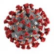 Об основных различиях между симптомами коронавируса COVID-19, простудных заболеваний и гриппа